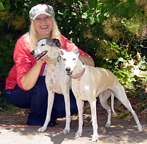Pet Sitting Marin: Pet Sitter Lorna, Dog Walking Whippets Aly and Shasta